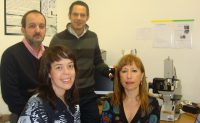2009-asedef-33