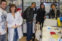 GalProf-06_2010-G11_0312-Dra_1500x1000
